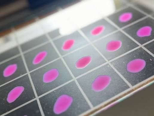 Antígeno Acidificado Tamponado (AAT)