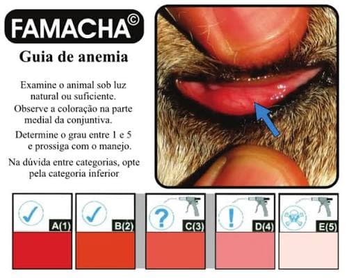 FAMACHA®