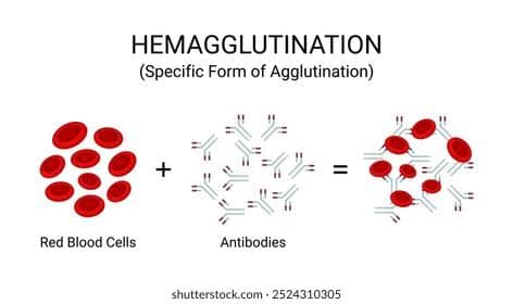 Teste de Hemaglutinação e Inibição da Hemaglutinação (HA/HI)