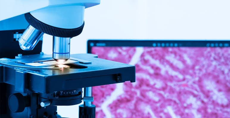 Microscopia